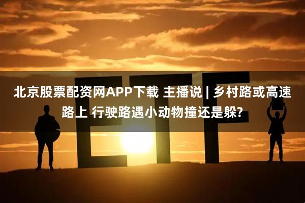 北京股票配资网APP下载 主播说 | 乡村路或高速路上 行驶路遇小动物撞还是躲?